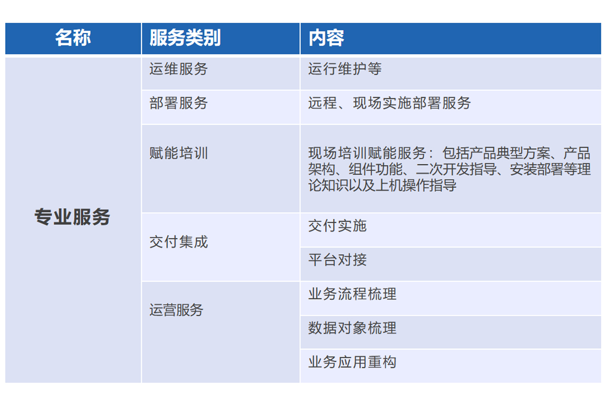 专业服务内容.jpg